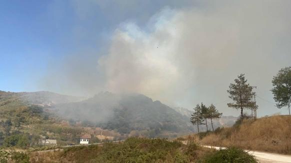 Düzcede orman yangını kontrol altında