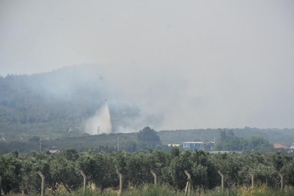 İzmirde çıkan orman yangını kontrol altında