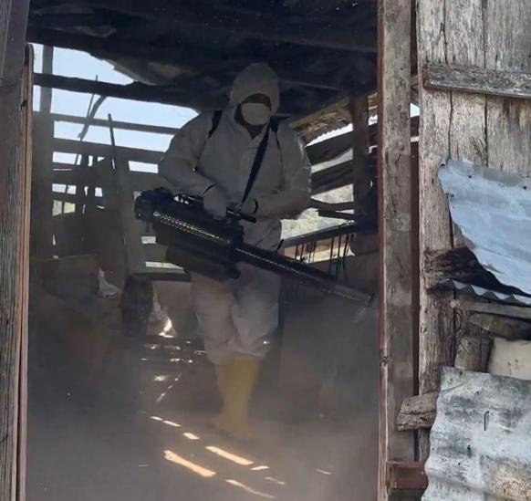 Bakan Yumaklı: Kahverengi kokarcaya karşı 1 milyondan fazla hanede ilaçlama yaptık