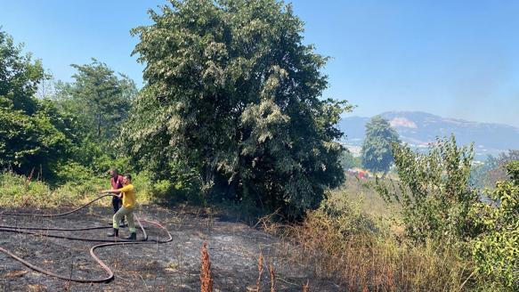 Bursada çıkan orman yangını kontrol altında