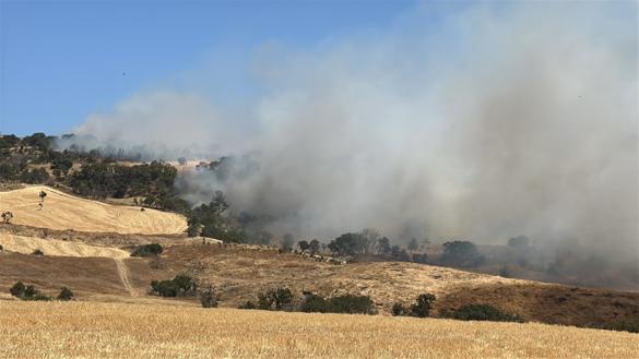 Çanakkalede tarım arazisinde çıkan yangın kontrol altında