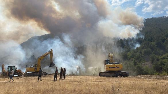 Karabükte orman yangını