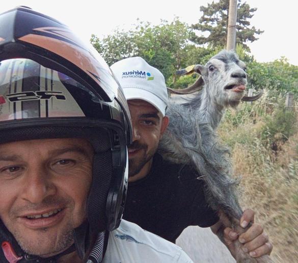 Yurttan Kurban Bayramı Manzaraları