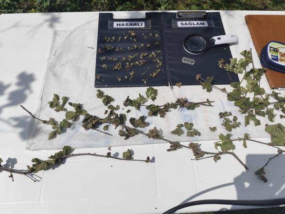 Bakan Yumaklı: Gıda arz güvenliğine ilişkin bir problem yok