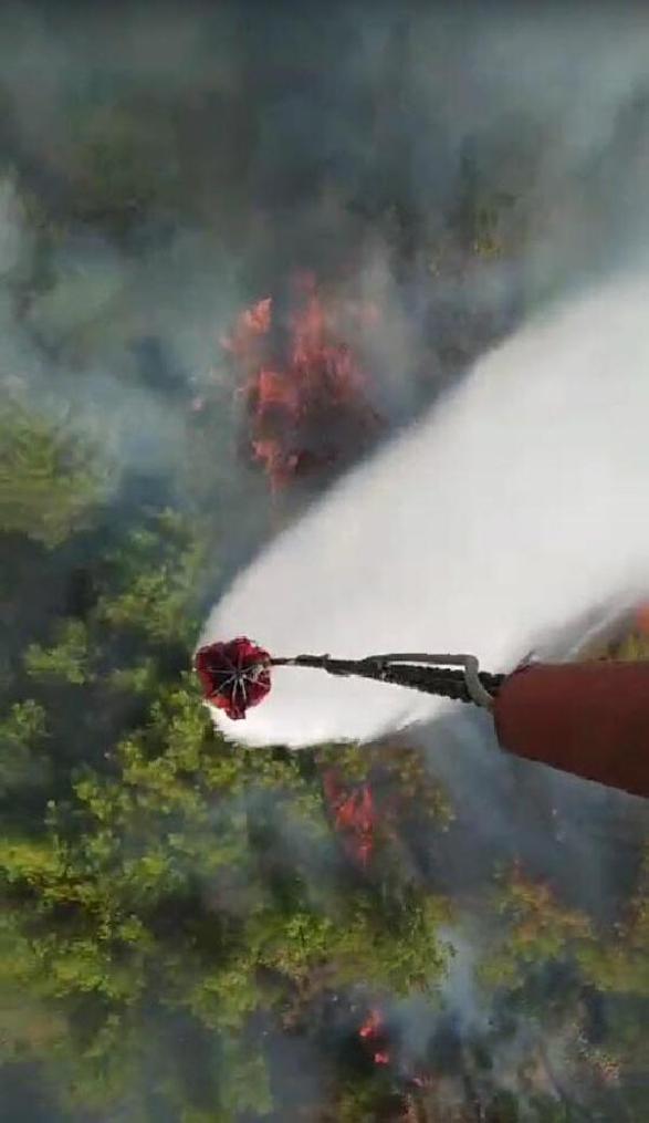 Muğlada orman yangını kontrol altına alındı