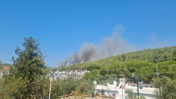 Bodrumda orman yangını