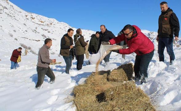 Erzurumda yaban hayatı için doğaya yem bırakıldı