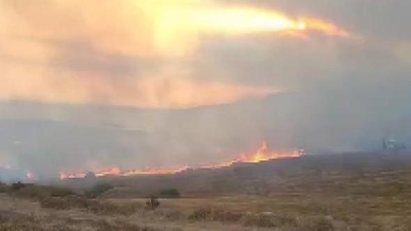 Paşalimanı Adası'nda makilik yangını; 20 dönümlük alan yandı