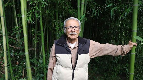 Samsun'da 10 yıldır bahçesinde bambu yetiştiriyor