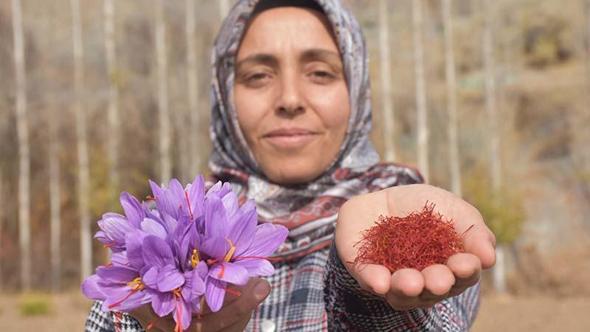 Eşini kaybettiği hastalık sürecinde önerilen, bulamadığı safranın üreticisi oldu