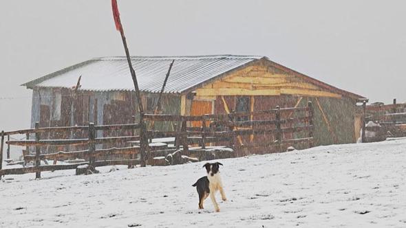 Ordu’nun yüksekleri beyaza büründü