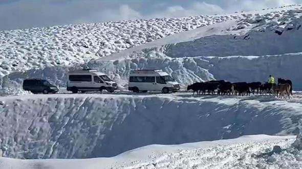 Muş'ta 14 köy yolu kardan kapandı