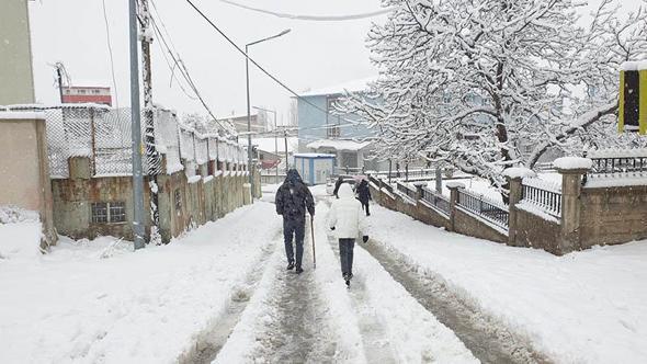 Van'ın 2 ilçesinde 11 yerleşim yeri kar nedeniyle ulaşıma kapandı