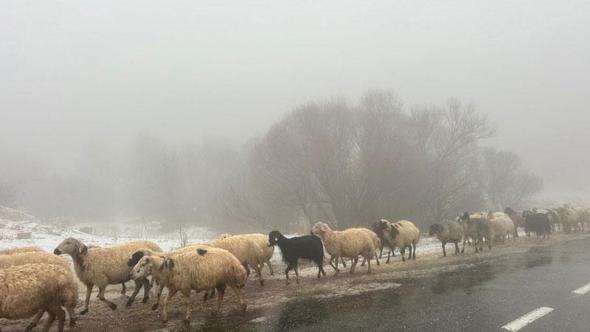 Tunceli’nin yüksek kesimleri beyaza büründü