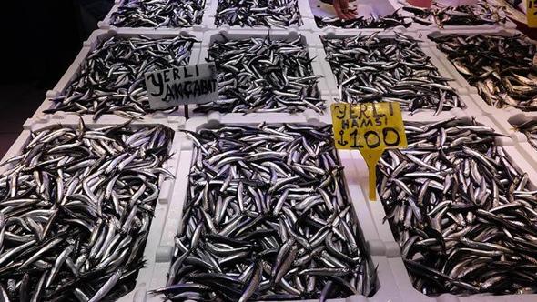 Balık tezgahlarında hamsi bolluğu