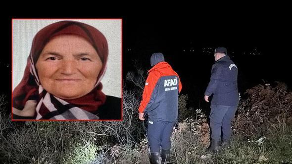 Ormanda defne yaprağı toplarken kaybolan kadın için arama çalışması başlatıldı