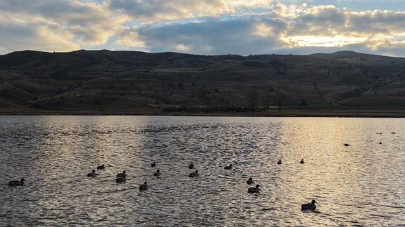 Kuruyunca kuşların da terk ettiği göl, yağışlarla yeniden 'hayat' buldu