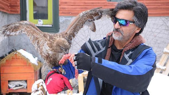 Tedavi edip doğaya bıraktığı kızıl şahin, aylar sonra geri döndü