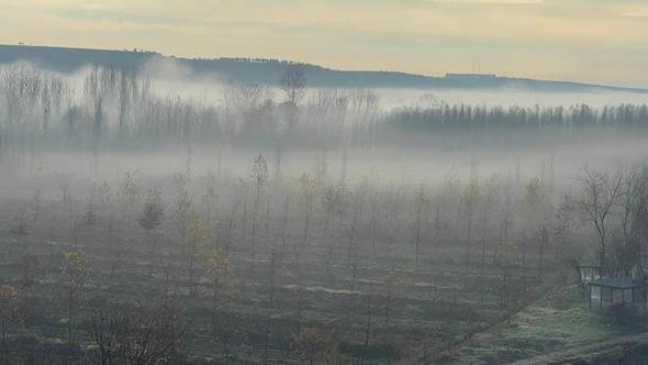 Dicle Vadisi'nde sis manzarası