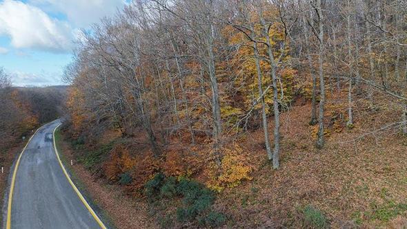 Dumanlı Dağı'nda sonbahardan kalma renk cümbüşü