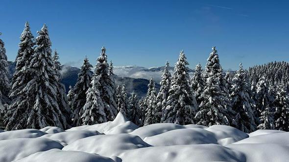 Ordu'da 2 bin rakımlı yaylada kar manzarası