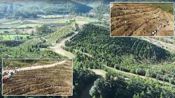 Dalaman'da yanan alanlar tekrar yeşerdi