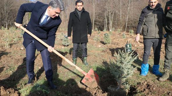 Bolu'daki yangın faciasında ölen 78 kişi için hatıra ormanı