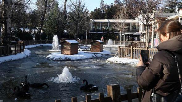 Ankara'da Kuğulu Park havuzu ve Eymir Gölü buz tuttu