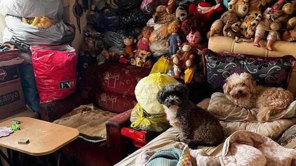 Evde sağlıksız koşullarda tutulan 55 hayvan koruma altına alındı