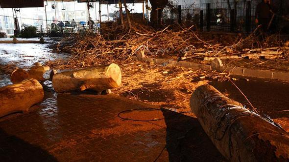 İzmir'de şiddetli rüzgar: Otomobilin üzerine ağaç devrildi