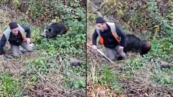 Vurulan domuz avcılara saldırdı; o anlar kamerada