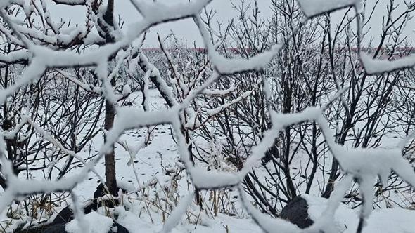 Diyarbakır’da yüksek kesimlerde kar, merkezde karla karışık yağmur etkili oldu