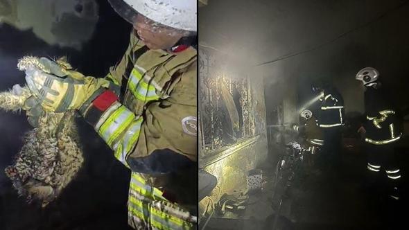 Hatay’da ev yanında mahsur kalan kediyi itfaiye kurtardı