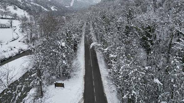 'Ağaç tünel yol'da, kar yağışı sonrası ortaya çıkan manzara görüntülendi