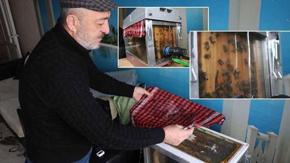 15'inci kattaki evinin oturma odasına arı kovanı sistemi kurdu