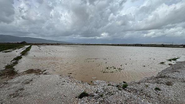 İzmir'de yağışlar çiftçinin yüzünü güldürdü