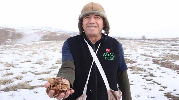 Kayseri’nin ‘Ağaç Dede’si 1 milyondan fazla fidanı toprakla buluşturdu