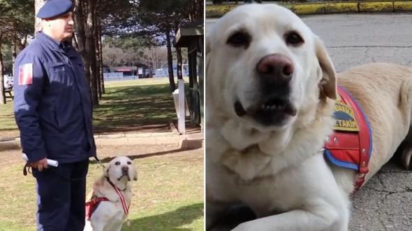 Jandarmanın iz takip köpeği ‘Medyum’ törenle emekliye ayrıldı