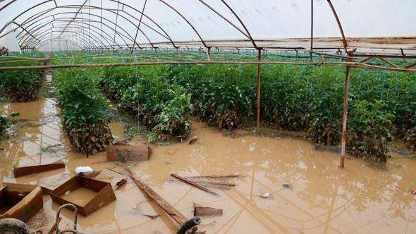 Geçen haftaki yağış ve hortumun Antalya'ya faturası 300 milyon TL