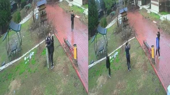 Dinozor Park’ta kuş yuvalarının parçalanmasına tepki