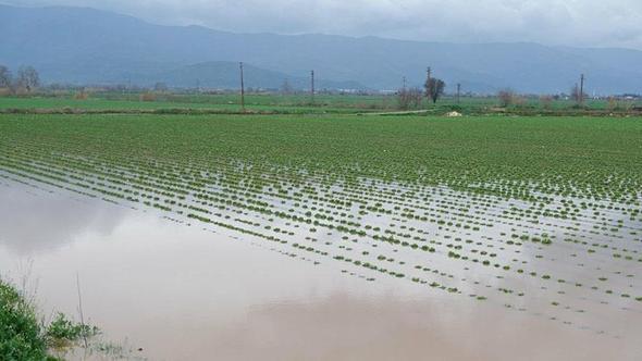 'Yağışları muhafaza edemezsek, kuraklık yaşamaya devam ederiz'