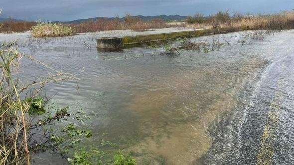 Büyük Menderes Nehri taştı, kara yolu ulaşıma kapatıldı