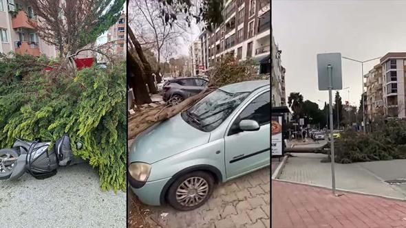 Çanakkale'de fırtınada ağaçlar devrildi, balkon duvarı yıkıldı