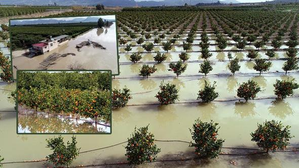 'Tarım arazileri su altında kalan Adana'da hasatlar 45 gün gecikecek'