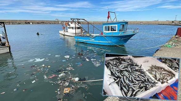 'Zonguldak'ta balık sezonu kötü geçiyor'