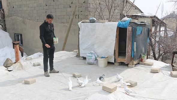Evinin damında 3 ırktan 50 güvercin besliyor