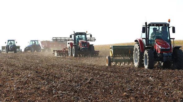 Mardin'de kar ve yağmur, çiftçiyi sevindirdi; bereket yılı bekleniyor