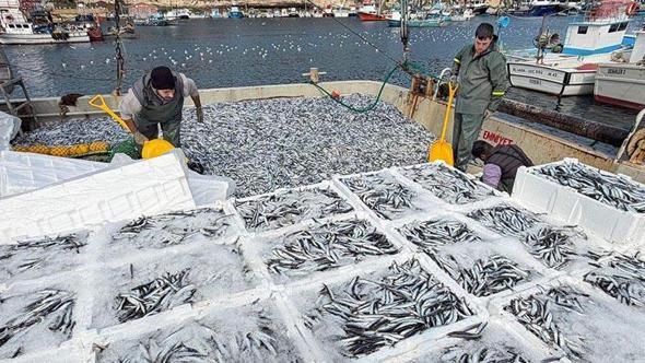 Kırklarelili balıkçılar, Karadeniz'de 6 saatte 30 ton hamsi avladı