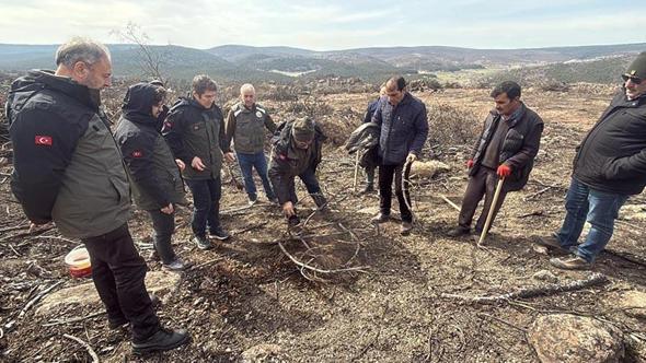 Yangında 10 şehidin verildiği ormanda yeniden ağaçlandırma çalışması başlatıldı