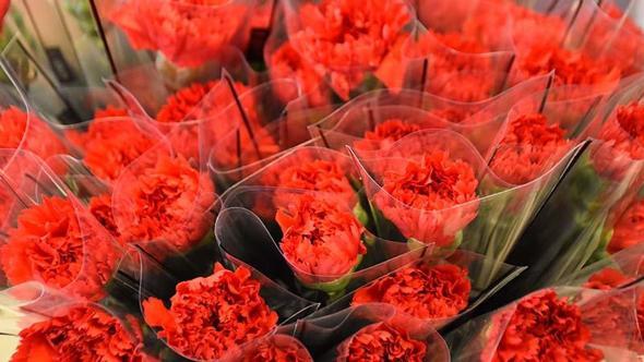 '8 Mart'ta kırmızı karanfil yoğun talep görüyor'